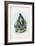 Grey Heron, 1863-79-Raimundo Petraroja-Framed Giclee Print