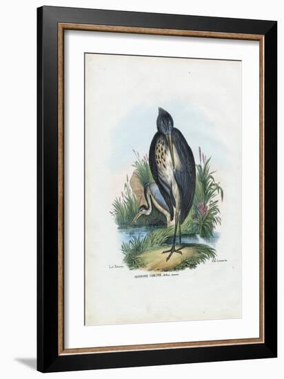 Grey Heron, 1863-79-Raimundo Petraroja-Framed Giclee Print