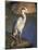 Grey Heron (Ardea Cinere), Kruger National Park, Mpumalanga, South Africa, Africa-Ann & Steve Toon-Mounted Photographic Print