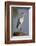 Grey Heron : Ardea Cinerea : South Africa-Johan Swanepoel-Framed Photographic Print