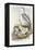 Grey Heron (Ardea Cinerea)-John Gould-Framed Premier Image Canvas
