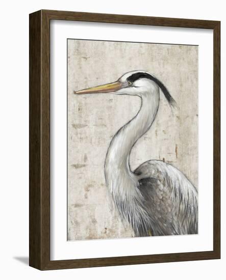 Grey Heron II-Tim OToole-Framed Art Print