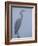 Grey Heron in Mist, Keoladeo Ghana Np, Bharatpur, Rajasthan, India-Jean-pierre Zwaenepoel-Framed Photographic Print