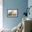 Grey Heron - Pose-Staffan Widstrand-Framed Giclee Print displayed on a wall