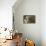 Grey Heron - Study-Staffan Widstrand-Framed Stretched Canvas displayed on a wall