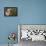 Grey Heron - Study-Staffan Widstrand-Framed Stretched Canvas displayed on a wall