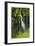 Grey Heron-Georgette Douwma-Framed Photographic Print