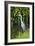 Grey Heron-Georgette Douwma-Framed Photographic Print
