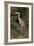 Grey Heron-null-Framed Photographic Print