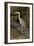 Grey Heron-null-Framed Photographic Print