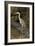 Grey Heron-null-Framed Photographic Print
