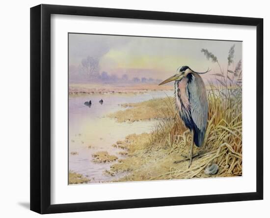 Grey Heron-Carl Donner-Framed Giclee Print