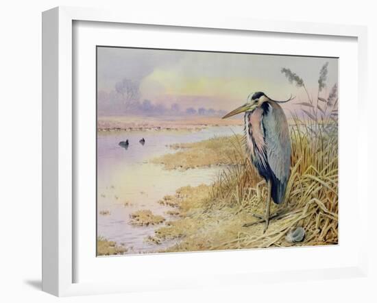 Grey Heron-Carl Donner-Framed Giclee Print