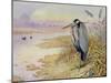 Grey Heron-Carl Donner-Mounted Giclee Print