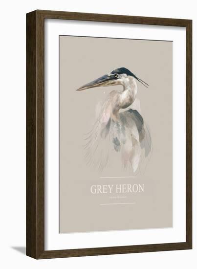 Grey Heron-Gabriella Roberg-Framed Giclee Print