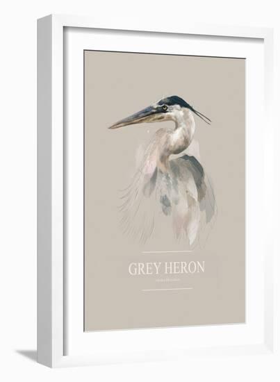 Grey Heron-Gabriella Roberg-Framed Giclee Print