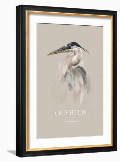 Grey Heron-Gabriella Roberg-Framed Giclee Print