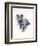 Grey Kitten, 2017-John Keeling-Framed Giclee Print