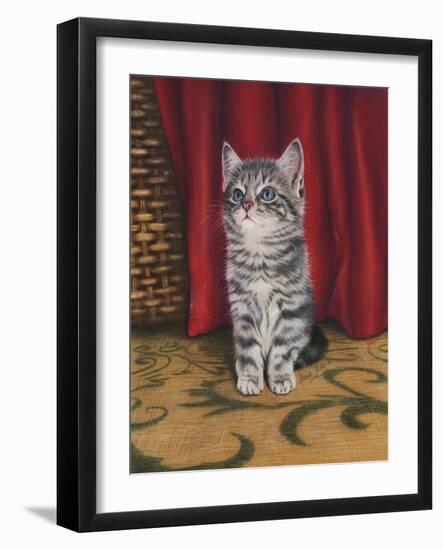 Grey Kitten and Red Curtain-Janet Pidoux-Framed Giclee Print