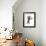 Grey Kitten, Standing, Reaching Out-Mark Taylor-Framed Photographic Print displayed on a wall