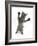 Grey Kitten, Standing, Reaching Out-Mark Taylor-Framed Photographic Print