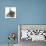 Grey Kitten with Grey Windmill-Eared Rabbit-Mark Taylor-Photographic Print displayed on a wall