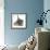 Grey Kitten with Grey Windmill-Eared Rabbit-Mark Taylor-Framed Photographic Print displayed on a wall