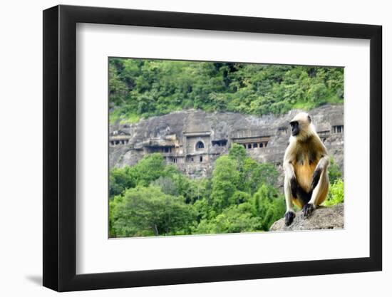 Grey langur monkey (Hanuman Langur) (Semnopithecus sp.) outside the Ajanta Caves, UNESCO World Heri-Alex Robinson-Framed Photographic Print