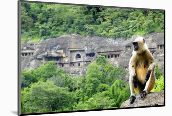 Grey langur monkey (Hanuman Langur) (Semnopithecus sp.) outside the Ajanta Caves, UNESCO World Heri-Alex Robinson-Mounted Photographic Print