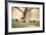 Grey Monjitas, Xolmis Cinereus, in the Morning Mist at Ibirapuera Park-Alex Saberi-Framed Photographic Print