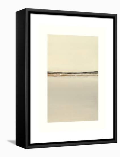 Grey Morning-Sammy Sheler-Framed Stretched Canvas