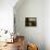 Grey Morning-David Farquharson-Mounted Giclee Print displayed on a wall