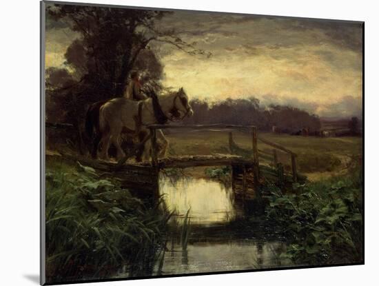 Grey Morning-David Farquharson-Mounted Giclee Print