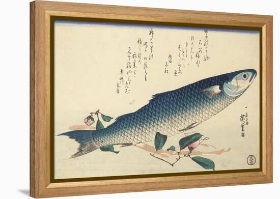 Grey Mullet, Camellia and Udo-Utagawa Hiroshige-Framed Premier Image Canvas