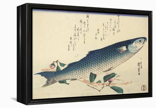 Grey Mullet, Camellia and Udo-Utagawa Hiroshige-Framed Premier Image Canvas