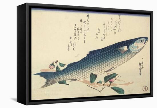 Grey Mullet, Camellia and Udo-Utagawa Hiroshige-Framed Premier Image Canvas