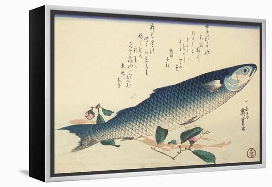 Grey Mullet, Camellia and Udo-Utagawa Hiroshige-Framed Premier Image Canvas