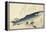 Grey Mullet, Camellia and Udo-Utagawa Hiroshige-Framed Premier Image Canvas