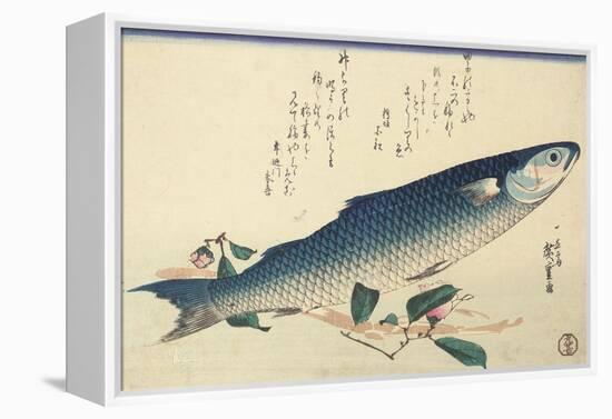 Grey Mullet, Camellia and Udo-Utagawa Hiroshige-Framed Premier Image Canvas