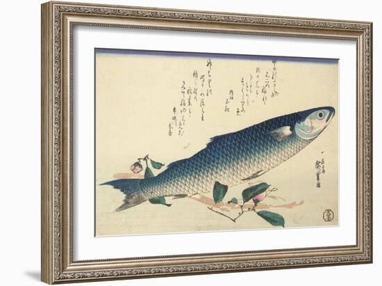 Grey Mullet, Camellia and Udo-Utagawa Hiroshige-Framed Giclee Print