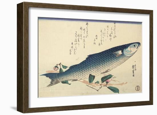 Grey Mullet, Camellia and Udo-Utagawa Hiroshige-Framed Giclee Print