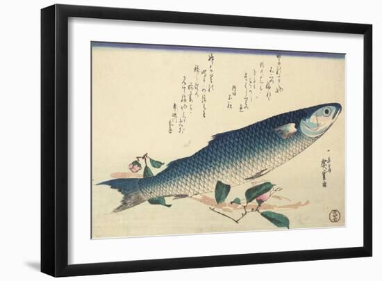 Grey Mullet, Camellia and Udo-Utagawa Hiroshige-Framed Giclee Print