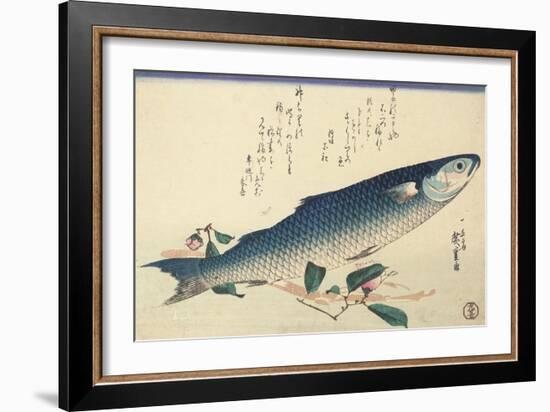 Grey Mullet, Camellia and Udo-Utagawa Hiroshige-Framed Giclee Print