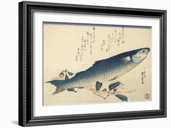 Grey Mullet, Camellia and Udo-Utagawa Hiroshige-Framed Giclee Print