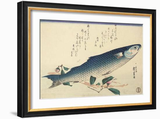 Grey Mullet, Camellia and Udo-Utagawa Hiroshige-Framed Giclee Print