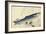 Grey Mullet, Camellia and Udo-Utagawa Hiroshige-Framed Giclee Print