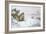 Grey Partridge-Carl Donner-Framed Giclee Print