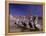 Grey Pelicans, Mexico-Mitch Diamond-Framed Premier Image Canvas