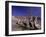 Grey Pelicans, Mexico-Mitch Diamond-Framed Photographic Print