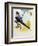 Grey-Rumped Treeswift (Hemiprocne Longipennis), Hemiprocnidae-null-Framed Giclee Print